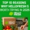 Top 10 Reasons Why HelloFresh Is Worth Trying in 2025